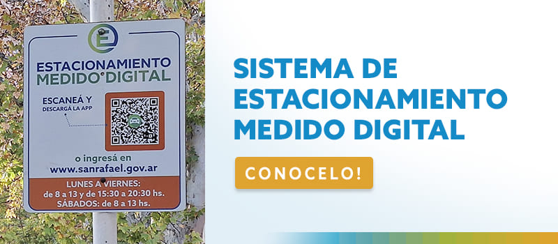 demo - sistema de estacionamientoo medido digital