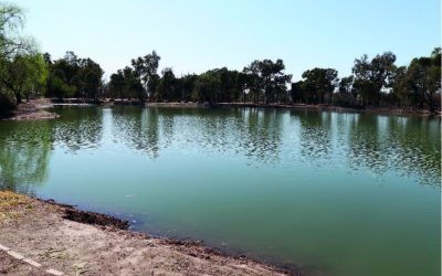 NUEVO CIRCUITO TURÍSTICO: LAGO DEL PARQUE, MUSEO DE HISTORIA NATURAL Y PASEO DE LOS ARTESANOS