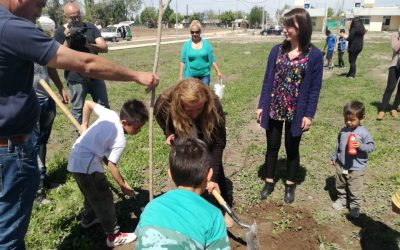 EN SAN RAFAEL TODOS QUIEREN PLANTAR SU ÁRBOL