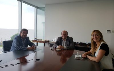GESTIÓN DE EMIR FÉLIX: AEROLÍNEAS NO REDUCIRÁ LOS VUELOS SEMANALES A SAN RAFAEL