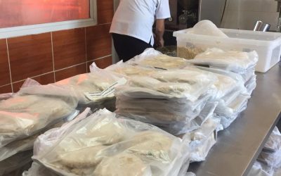EL PROGRAMA VACA RACIONES MULTIPLICA SU PRODUCCIÓN DE TEXTURIZADO Y ALIMENTOS