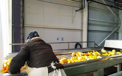 LA PULPERA LOGRÓ UNA TEMPORADA RÉCORD Y CON MAYOR PARTICIPACIÓN DE PRODUCTORES LOCALES