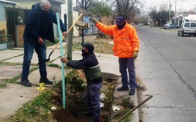 SE RELANZÓ EL PLAN DE FORESTACIÓN Y EN LA PRIMERA ETAPA SE COLOCARÁN 400 NUEVOS FORESTALES