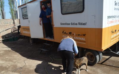 ¡VOLVIÓ EL QUIRÓFANO MÓVIL VETERINARIO!