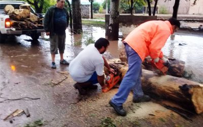 MÁS DE 300 FAMILIAS YA FUERON ASISTIDAS TRAS LA TORMENTA