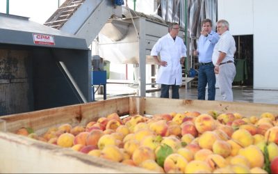 EMIR FÉLIX: “EN LA PULPERA TRABAJAMOS TODOS LOS DÍAS PARA QUE NUESTROS PRODUCTORES GANEN MÁS”