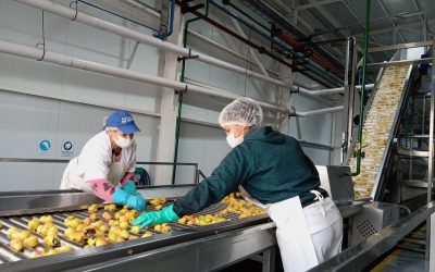 LA PULPERA COMENZÓ A PROCESAR PERAS Y YA SUPERÓ LOS 2 MILLONES DE KILOS DE DURAZNOS
