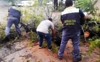 EQUIPOS MUNICIPALES TRABAJAN EN LAS CALLES TRAS LA FUERTE TORMENTA