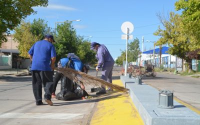 EL DÍA DESPUÉS DE LA TORMENTA: EMPLEADOS MUNICIPALES LIMPIAN Y DESOBSTRUYEN ACEQUIAS