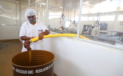 LA SALA DE EXTRACCIÓN MUNICIPAL YA PROCESÓ CASI 50.000 KILOS DE MIEL