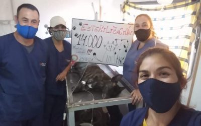 EL QUIRÓFANO MÓVIL DE SAN RAFAEL LLEGÓ A LAS 14.000 ESTERILIZACIONES