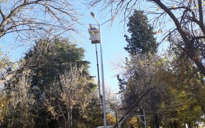 NUEVAS LUMINARIAS EN PLAZA BALLOFFET