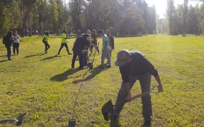 NUEVOS ÁRBOLES EN EL PARQUE MARIANO MORENO