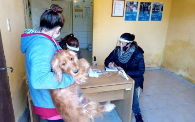 COMENZÓ LA VACUNACIÓN ANTIRRÁBICA EN LOS BARRIOS