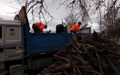 OLA DE FRÍO: SE ENTREGÓ LEÑA Y ABRIGO A VARIAS FAMILIAS SANRAFAELINAS