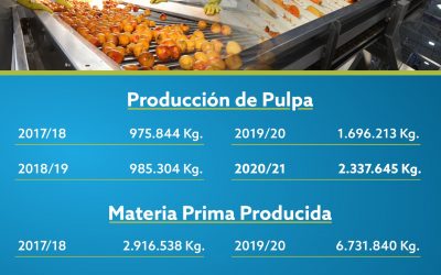 CON CIFRAS RECORD EN MATERIA PRIMA Y PRODUCCIÓN, LA PULPERA FINALIZÓ SU MEJOR TEMPORADA DESDE QUE SE CREÓ