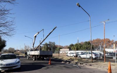 SE COLOCAN NUEVOS POSTES Y LUMINARIAS SOBRE EMILIO MITRE