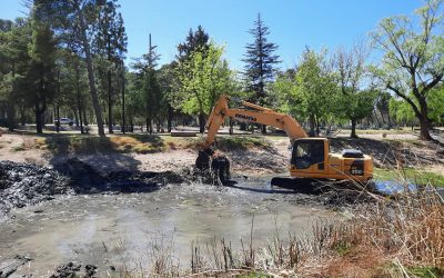 SE TRABAJA EN LA LIMPIEZA TOTAL DE LA LAGUNA DEL PARQUE MARIANO MORENO
