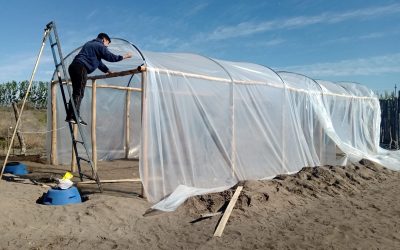 INVERNADEROS HIDROPÓNICOS: EL PROYECTO PRODUCTIVO QUE IMPULSA EL MUNICIPIO COMO ALTERNATIVA ANTE LA CRISIS HÍDRICA