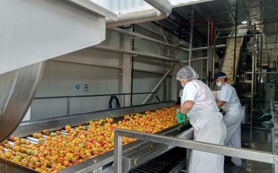 PULPERA EN MARCHA: COMENZÓ LA QUINTA TEMPORADA EN LA PLANTA DE CUADRO NACIONAL
