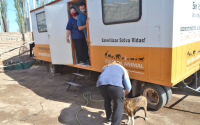 EL QUIRÓFANO MÓVIL VETERINARIO ATENDERÁ EN CAPITÁN MONTOYA Y SE TRABAJA JUNTO A PROTECCIONISTAS EN LUGONES