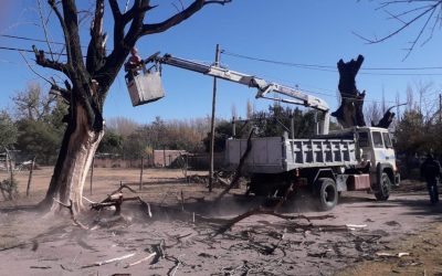 DEFENSA CIVIL ERRADICA ÁRBOLES CON RIESGO DE CAÍDA EN DISTRITOS