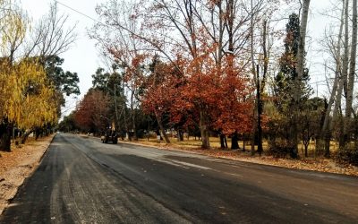 CULMINÓ LA OBRA DE ASFALTADO DE CALLE TULIO ANGRIMÁN EN EL PARQUE MORENO