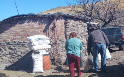 PUNTA DEL AGUA: SE ENTREGÓ FORRAJE PARA PRODUCTORES DE ZONAS ARRASADAS POR EL FUEGO