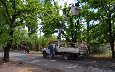 CONTINÚA LA REVOLUCIÓN LED: AHORA SE INSTALAN NUEVOS EQUIPOS EN FLORIDA