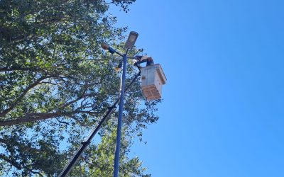 LA ILUMINACIÓN INTERNA Y EXTERNA DE LA ROTONDA DEL CRISTO PASA A SER LED