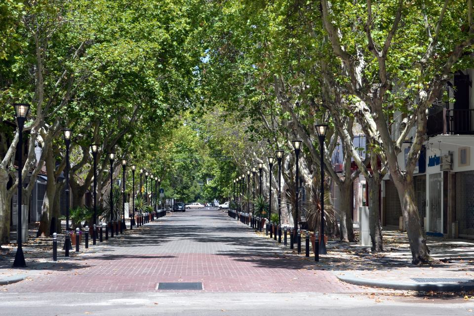AVANZA UN PROYECTO PARA PROHIBIR COLOCAR CARTELES EN POSTES O ÁRBOLES CON SEVERAS MULTAS A INFRACTORES