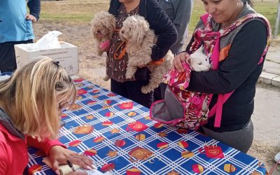 150 PERROS Y GATOS DE BARRIOS DEL SUR DE CIUDAD FUERON VACUNADOS CONTRA LA RABIA