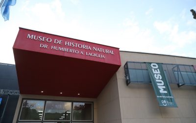 CHARLAS Y EXPOSICIONES PARA CONMEMORAR EL DÍA INTERNACIONAL DE LOS MUSEOS