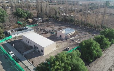 A POCO DE INAUGURARSE EL HOSPITAL VETERINARIO, SAN RAFAEL SUPERÓ LAS 35.000 CASTRACIONES