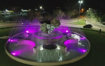YA FUNCIONAN LA NUEVA FUENTE Y LAS LUCES DE LA ROTONDA DE LA COPA