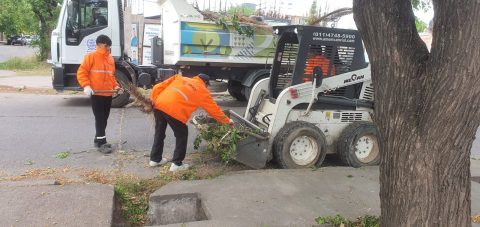 EL VIERNES HABRÁ ASUETO POR EL DÍA DEL EMPLEADO MUNICIPAL ...