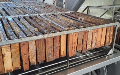 LA PLANTA DE EXTRACCIÓN COMUNITARIA DE MIEL COMENZÓ UNA NUEVA TEMPORADA
