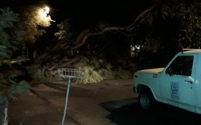 EL INTENDENTE OMAR FÉLIX RECORRE LAS ZONAS AFECTADAS POR LA TORMENTA