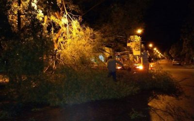 LAS CUADRILLAS MUNICIPALES CONTINÚAN TRABAJANDO EN BARRIOS Y DISTRITOS AFECTADOS POR LA TORMENTA