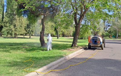 CON MÚLTIPLES ACCIONES, EL MUNICIPIO AVANZA CON PREVENCIÓN Y ACCIÓN CONTRA EL DENGUE