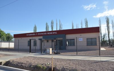 ASÍ LUCE EL NUEVO EDIFICIO DE VETERINARIA Y ZOONOSIS ANTES DE SU INAUGURACIÓN