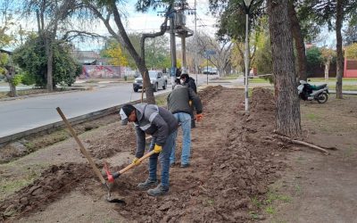 EN LA PREVIA DEL DÍA DEL PERIODISTA, EL MUNICIPIO REACONDICIONA LA PLAZA ABADÍA