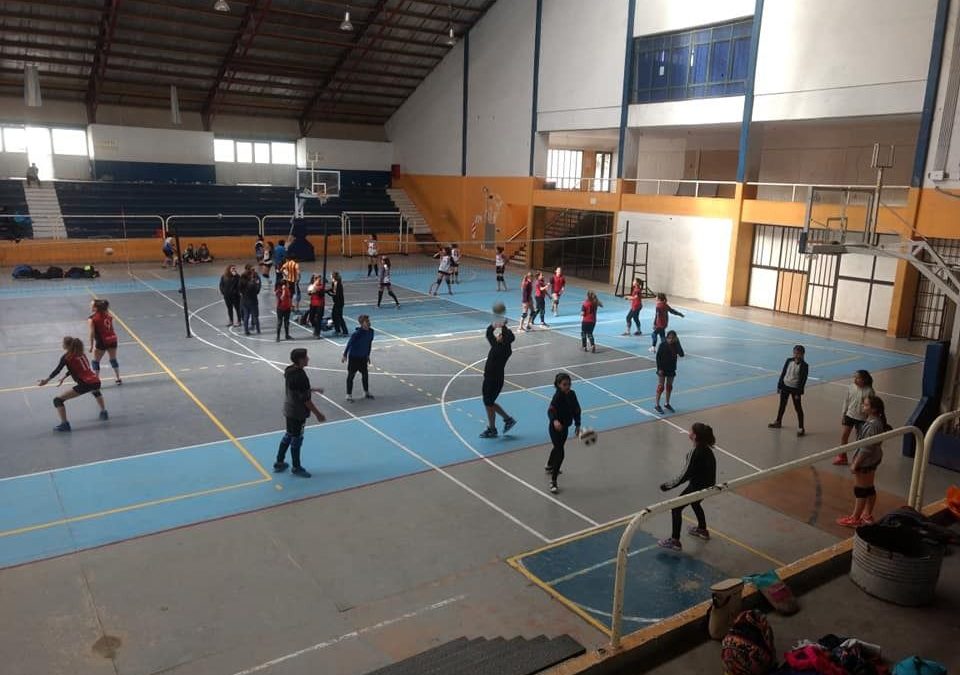 CIENTOS DE CHICOS SANRAFAELINOS YA PUEDEN INSCRIBIRSE PARA LA ETAPA DEPARTAMENTAL DE LOS JUEGOS SANMARTINIANOS