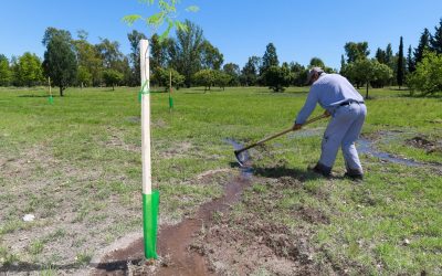 COMIENZA LA ENTREGA DE ÁRBOLES A VECINOS DE SAN RAFAEL