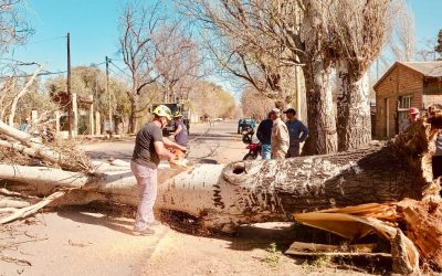SE EXTIENDE EL CIERRE DEL PARQUE DE LOS NIÑOS, CAMPING VALLE GRANDE Y CALLES INTERNAS DEL PARQUE YRIGOYEN