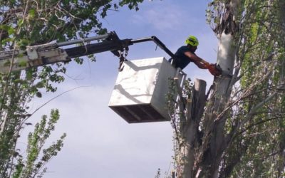 EL MUNICIPIO TRABAJÓ TODA LA TARDE PARA MITIGAR LAS CONSECUENCIAS DEL ZONDA
