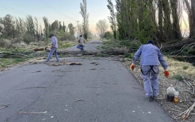 SIGUEN LOS OPERATIVOS DE LIMPIEZA Y DESPEJE TRAS EL ZONDA