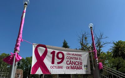 EN EL DÍA DE LA LUCHA CONTRA EL CÁNCER DE MAMA, EL MUNICIPIO REALIZA UNA INTERVENCIÓN EN LA PLAZA SAN MARTÍN