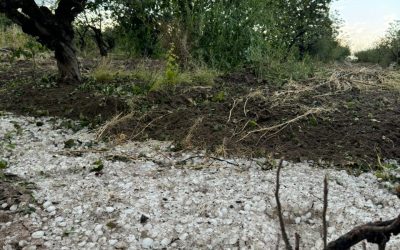 RECORRIDAS EN LAS ZONAS AFECTADAS POR LA TORMENTA