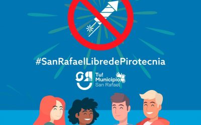 FIESTAS DE FIN DE AÑO: SEVERAS MULTAS , CLAUSURAS Y ARRESTO PARA QUIENES VENDAN O ARROJEN PIROTECNIA